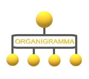 Organigramma