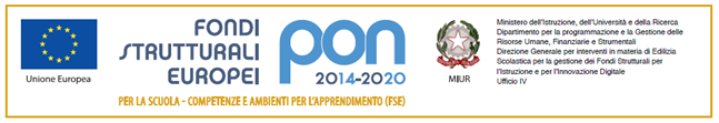 Logo PON FSE